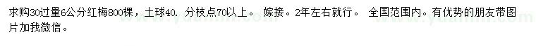 求購30量6公分紅梅