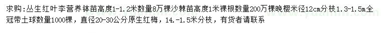 求購叢生紅葉李、沙棘、晚櫻等