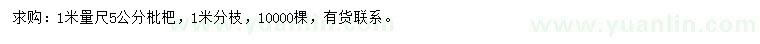 求購5公分枇杷