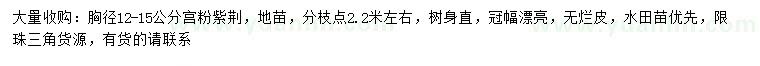 求購胸徑12-15公分宮粉紫荊