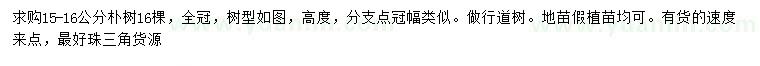 求購15-16公分樸樹