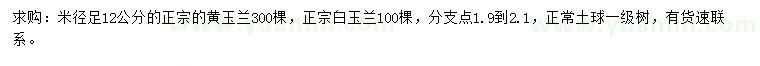 求購(gòu)米徑12公分黃玉蘭、白玉蘭