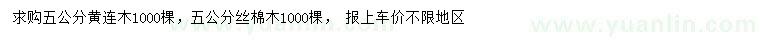 求購5公分黃連木、絲棉木