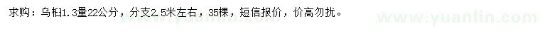 求購1.3米量22公分烏桕