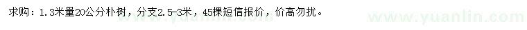 求購(gòu)1.3米量20公分樸樹