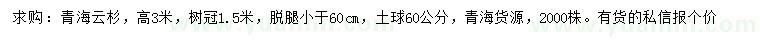 求購高3米青海云杉