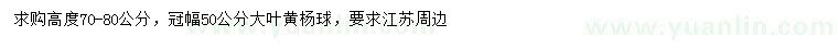 求購冠幅50公分大葉黃楊球