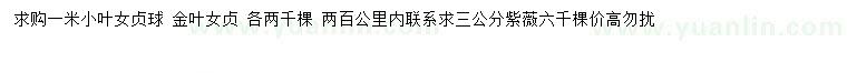 求購(gòu)小葉女貞球、金葉女貞、紫薇