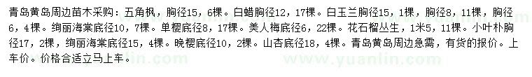 求購五角楓、白蠟、白玉蘭等