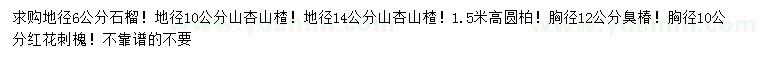 求購石榴、老式法桐、紅花刺槐等