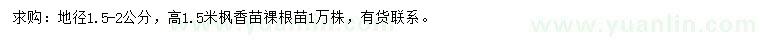 求購高1.5米楓香苗