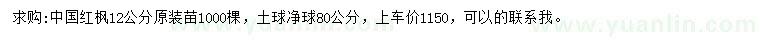 求購12公分中國紅楓