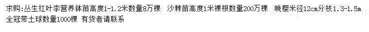 求購叢生紅葉李、沙棘、晚櫻