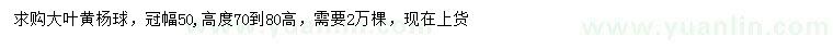 求購冠幅50公分大葉黃楊球