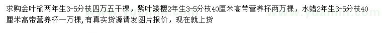 求購(gòu)金葉榆、紫葉矮櫻、水蠟