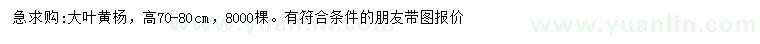 求購(gòu)高70-80公分大葉黃楊