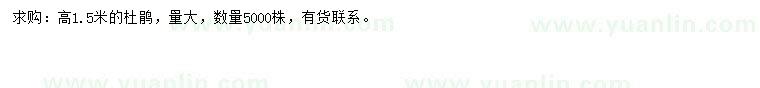 求購高1.5米的杜鵑