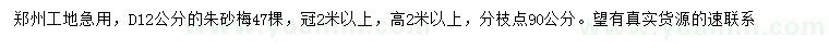 求購地徑12公分朱砂梅