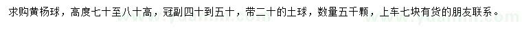 求購高70-80公分黃楊球