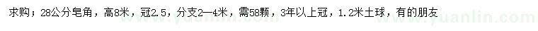 求購28公分皂角