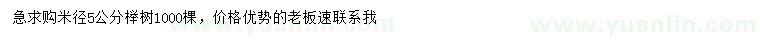 求購米徑5公分櫸樹
