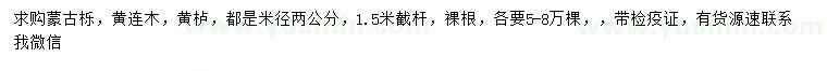 求購(gòu)蒙古櫟、黃連木、黃櫨