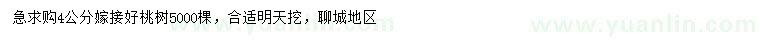 求購(gòu)4公分嫁接桃樹(shù)