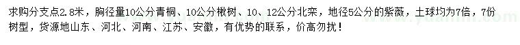 求購青桐、楸樹、北欒等