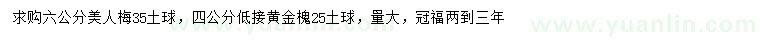 求購(gòu)6公分美人梅、4公分黃金槐