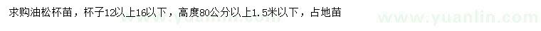 求購高80公分以上油松苗