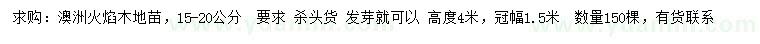求購(gòu)15-20公分澳洲火焰木地苗
