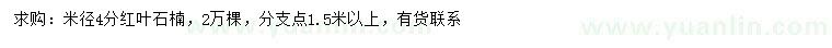 求購米徑4分紅葉石楠