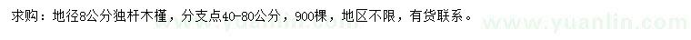 求購(gòu)地徑8公分木槿