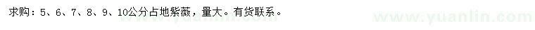 求購(gòu)5、6、7、8、9、10公分紫薇