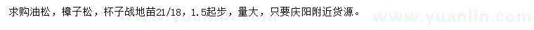 求購油松、樟子松