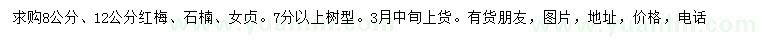 求購紅梅、石楠、女貞