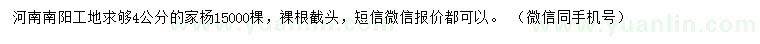 求購4公分家楊