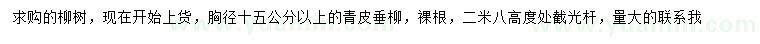 求購胸徑15公分以上青皮垂柳