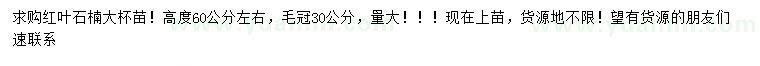 求購高60公分紅葉石楠