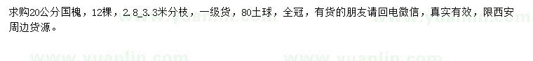 求購20公分國槐