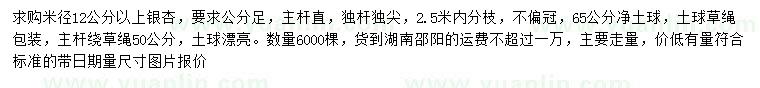 求購(gòu)米徑12公分以上銀杏