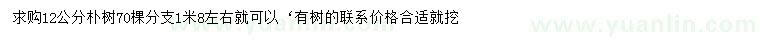 求購12公分樸樹