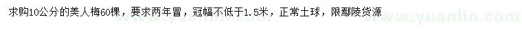 求購10公分美人梅