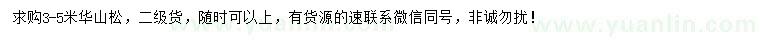 求購3-5米華山松