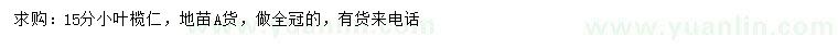 求購15公分小葉欖仁