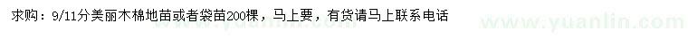 求購9、11分美麗木棉