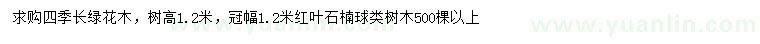 求購(gòu)冠幅1.2米紅葉石楠球