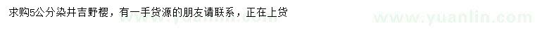 求購5公分染井吉野櫻