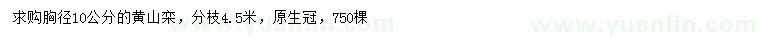 求購胸徑10公分黃山欒