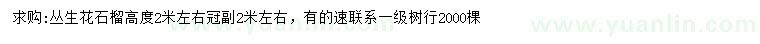 求購高2米左右叢生花石榴